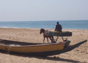 Horse cart on the beach at Popenguine, Senegal